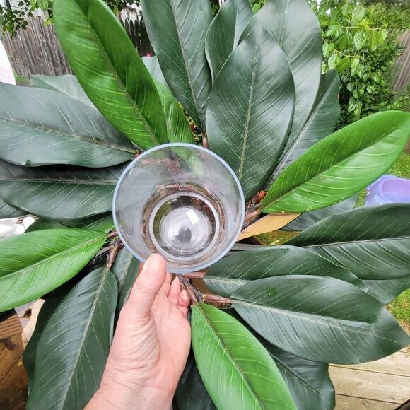 Candle Holder - Picture 11 of 11